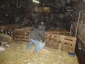 agneau 2006 0012